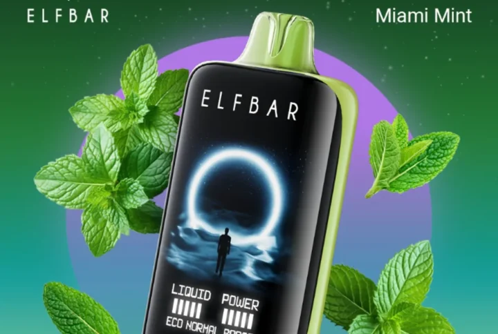 ELF BAR Moon Night 40K Puffs – Miami Mint