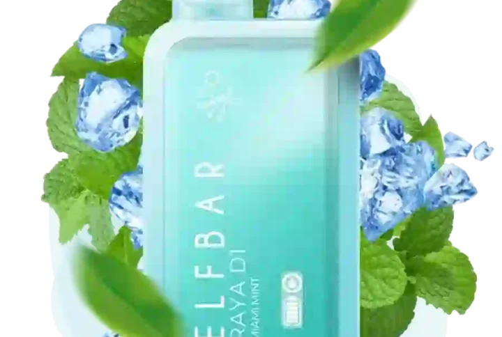 ELF BAR RAYA D1 – Miami Mint