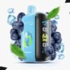 Elf Bar Raya D3 Blueberry Ice – 25000