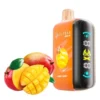 Elf Bar Raya D3 - Mango - 25000