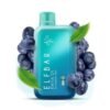 ELF BAR RAYA D1 - Blueberry Mint - 13000 Puffs