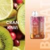 ELF BAR TE6000 - Cran Kiwi