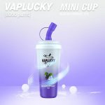 Blackcurrant ice Vaplucky Minicup