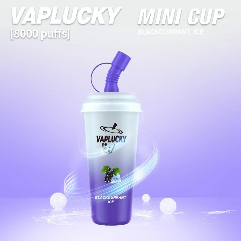 Blackcurrant ice Vaplucky Minicup
