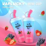 Vaplucky-Minicup-8000-Pod-1-Lan-Dau-Ly-Chua-Den-Lanh