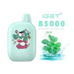 mountain-spring-mint-iget-b5000-2